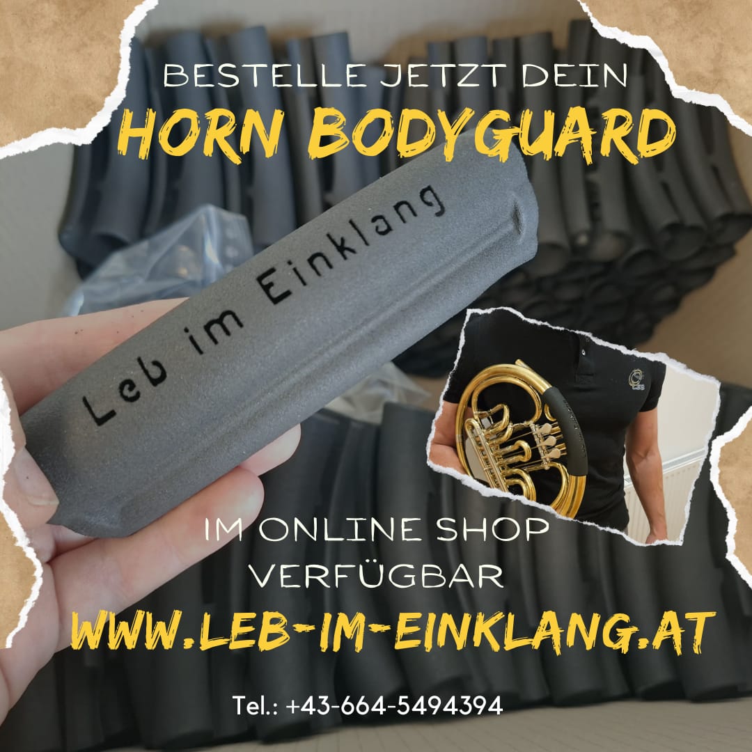 Horn Bodyquard/ Hand protector Jungwirth Weense Hoorn Modell Dehmal - Image 3