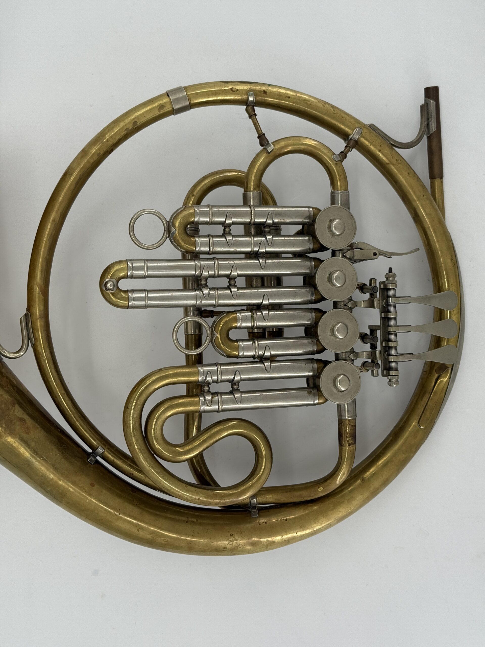 Schenkelaars enkel B. MK - Afbeelding 2