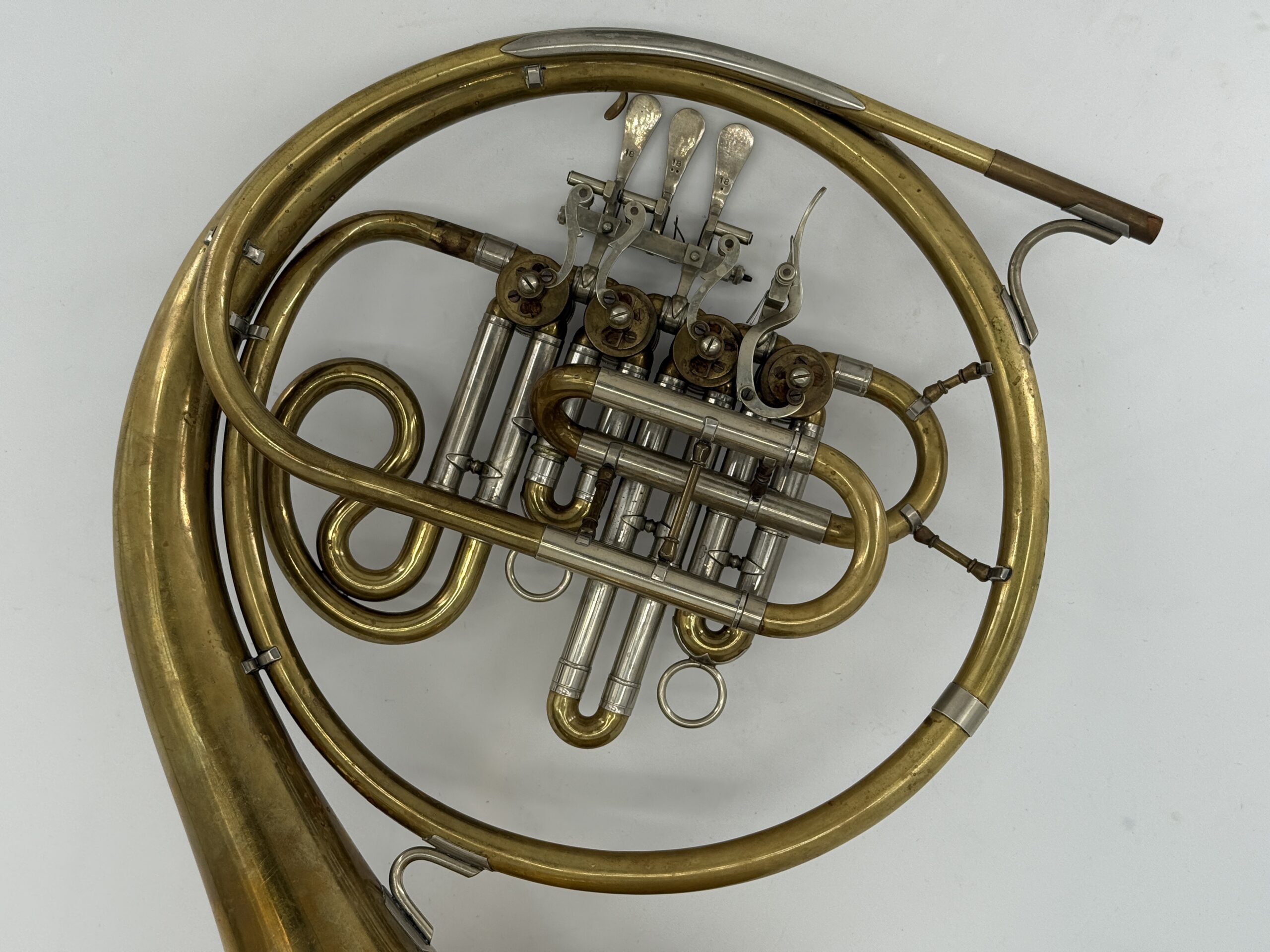 Schenkelaars enkel B. MK - Afbeelding 4